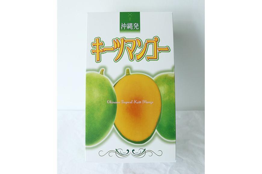 《先行予約 2025年発送》沖縄・宮古島 減農薬栽培 キーツマンゴー甘濃（かんのう）1玉【琉球マルシェ】