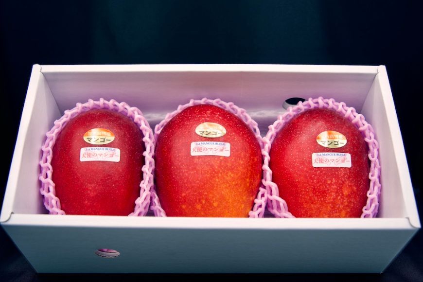 《先行予約 2026年発送》『天使のマンゴー』宮古島産アーウィンマンゴー 約800g （2玉）【ご贈答用】「LA MANGUE BLEUE」農家直送（GZ002）