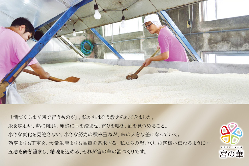 逅臥帥豕。逶帙螳ョ縺ョ闖ッ縲邏吶ヱ繝繧ッ縲1譛ャ