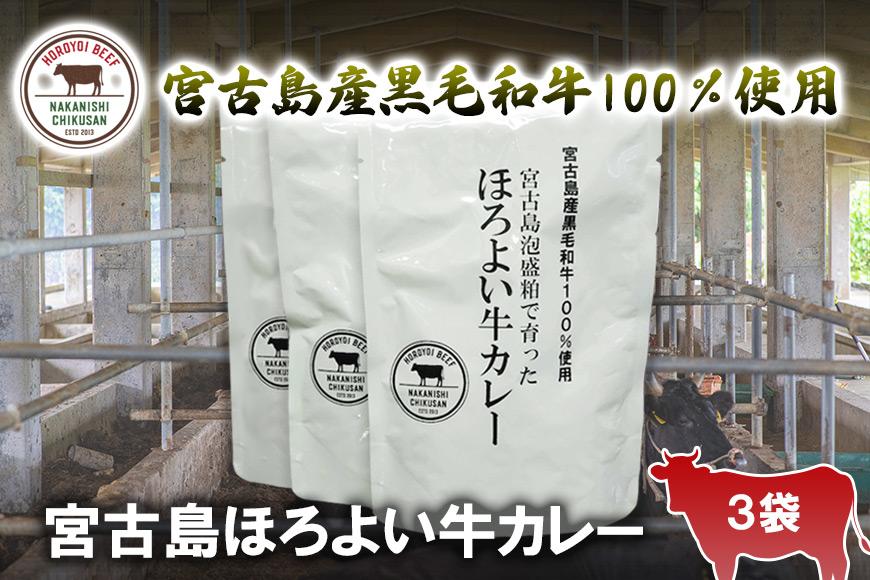 JH011　宮古島ほろよい牛カレー（3袋）