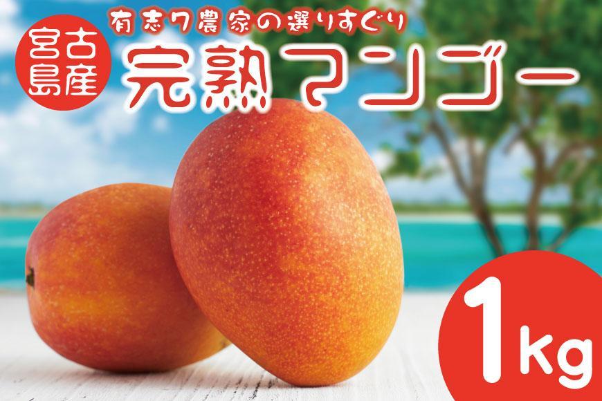 ★令和6年発送★完熟アップルマンゴー 1kg【農空間】