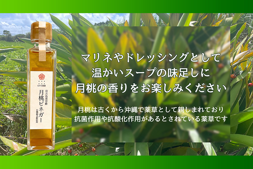 HJ001　月桃ビネガー（150ml×２本）