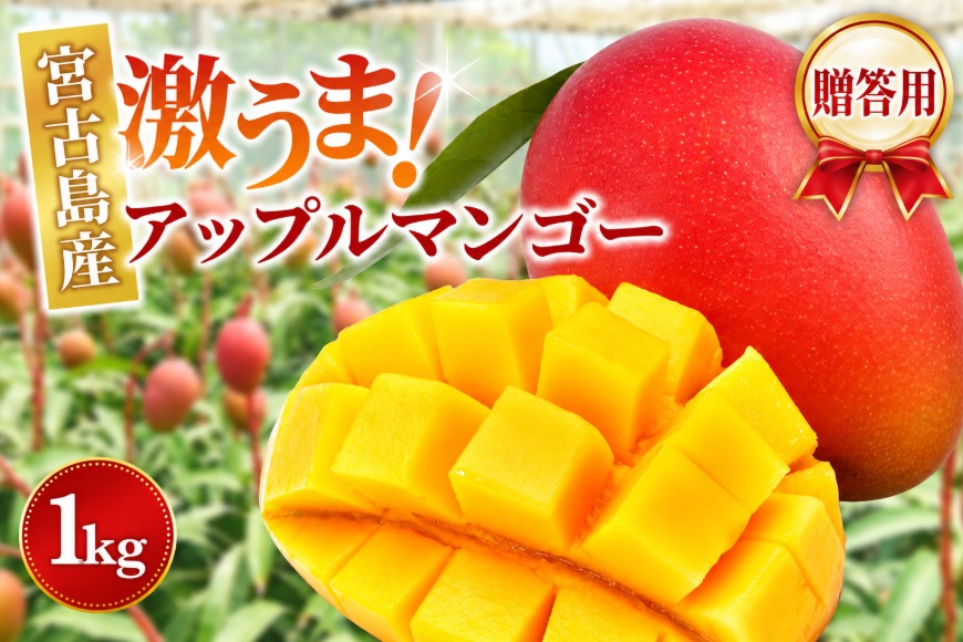 ＜2027年夏発送＞【贈答用】激うま！宮古島産アップルマンゴー1kg(2～3玉)ふれあいフルーツ宮古島（FA02）