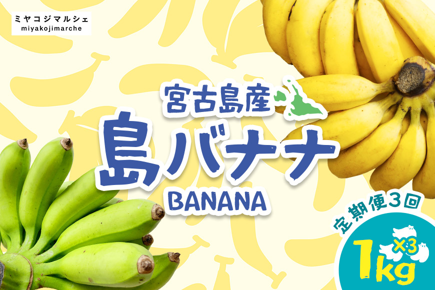 JH009　宮古島産バナナ（1㎏×定期便3回）【（株）フラモン】