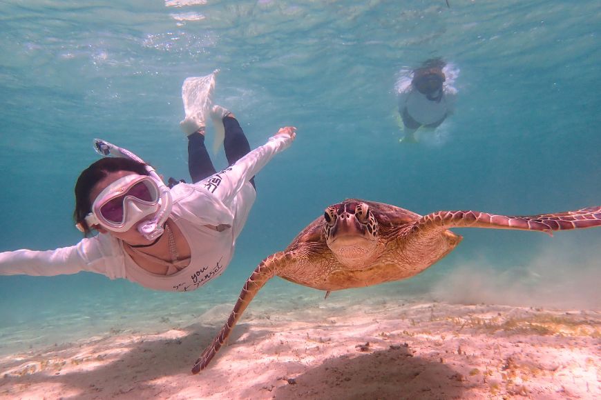 YH001ãå®®å€å³¶ã®èªç¶ã倧æºå«ïŒéžã¹ãã¢ã¯ãã£ããã£ãã±ããïŒãã¢ãŒ9,000ååïŒ