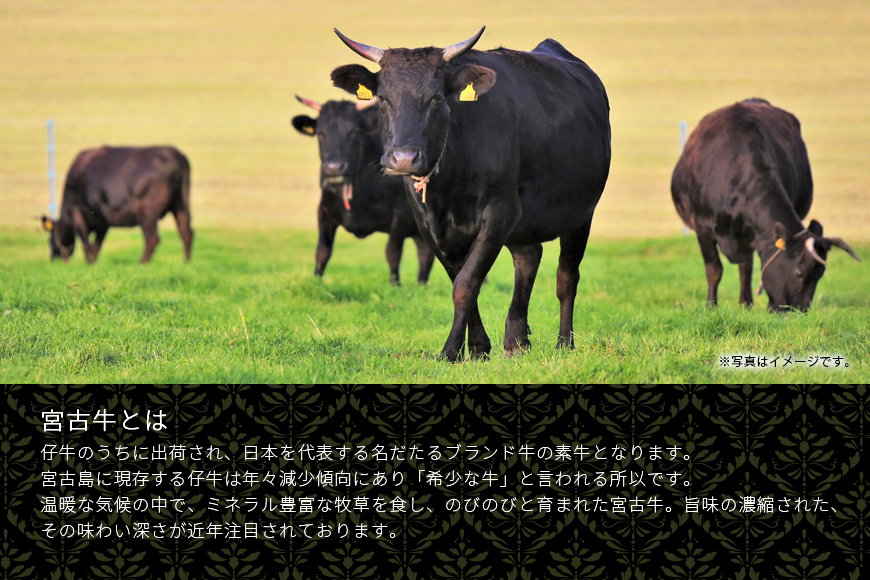 R119縲仙ョ壽悄萓ソ縲大ョョ蜿、迚帛繧願誠縺ィ縺(200gテ2P)シ螳ョ蜿、蟲カ逕」迚幃、蟄(12繧ウテ2P)シ螳ョ蜿、蟲カ逕」迚幢スソスースセスースシセ(360gテ2P)シ懷ョ壽悄萓ソ蜈ィ4蝗橸シ