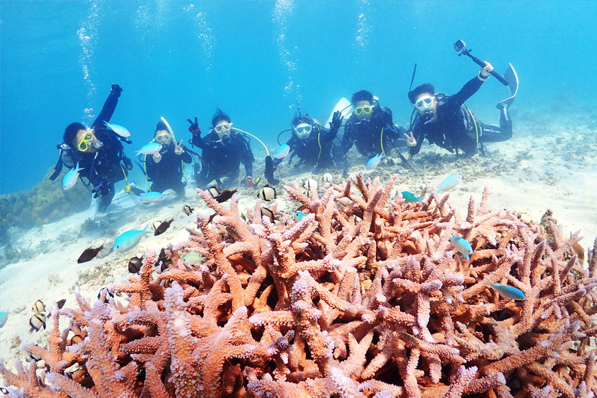 JK003　サンゴと熱帯魚の楽園「宮古島」で、ビーチ体験ダイビングコース（1ビーチダイブ）