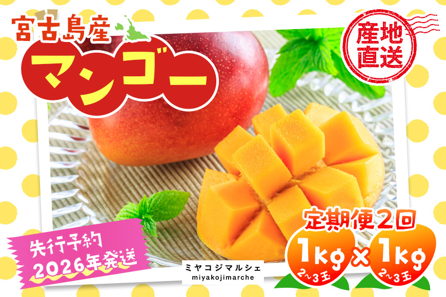 JH003《先行予約 2026年発送》宮古島産マンゴー（1ｋｇ×定期便2回）【（株）フラモン】