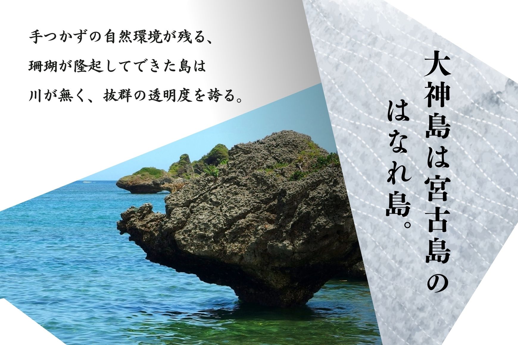 大神島もずく（200ｇ×10袋）