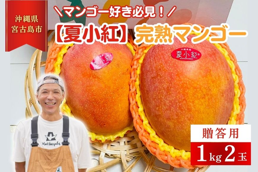 HZ001【檬果家】マンゴー好き必見！沖縄限定　希少品種【夏小紅】１kg２玉　贈答用