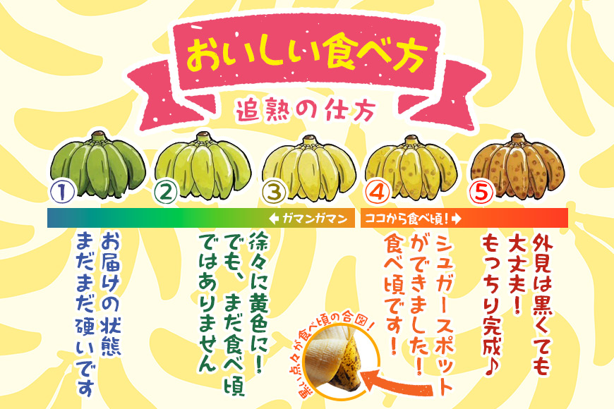 JH009　宮古島産バナナ（1㎏×定期便3回）【（株）フラモン】