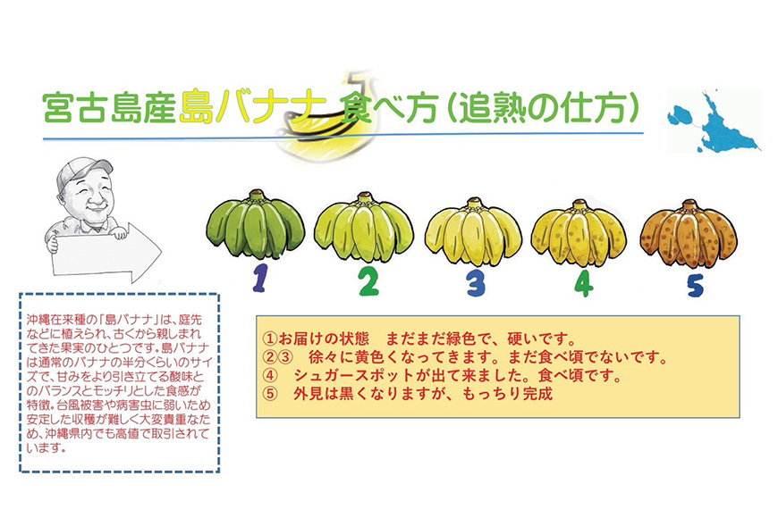 JH009　宮古島産バナナ（1㎏×定期便3回）【（株）フラモン】