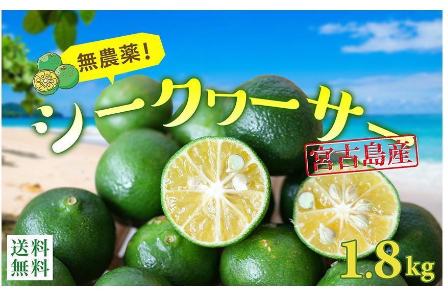 ☆品切れ☆沖縄・宮古島産｜シークワーサー（1.8kg）生果実 青切り【2024年夏発送】|JALふるさと納税|JALのマイルがたまるふるさと納税サイト