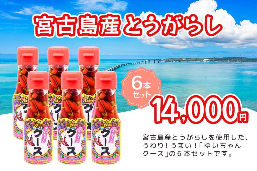 DQ043　うわり！うまい！「ゆいちゃんクース」6本セット