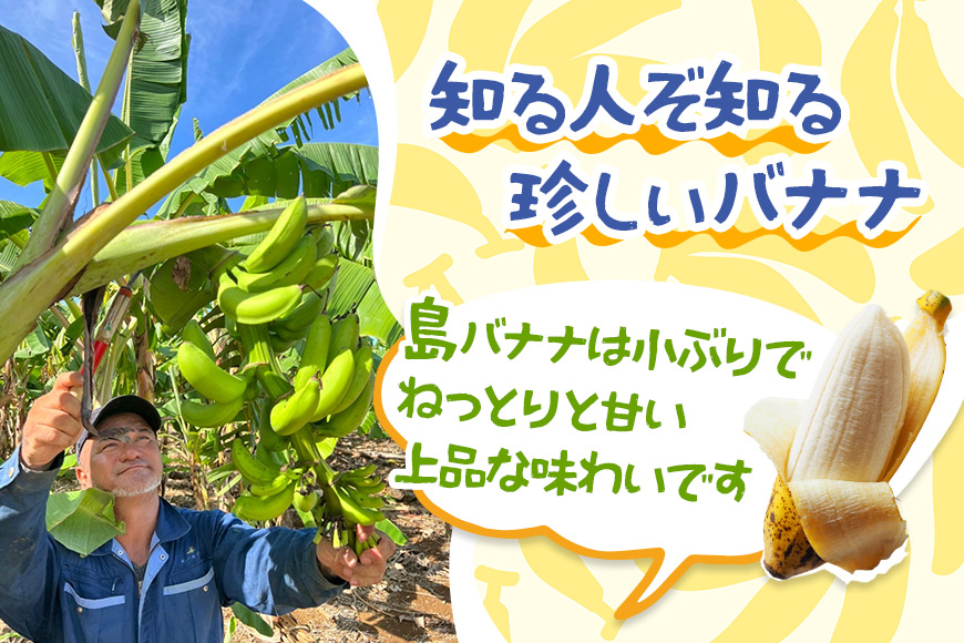 JH009　宮古島産バナナ（1㎏×定期便3回）【（株）フラモン】