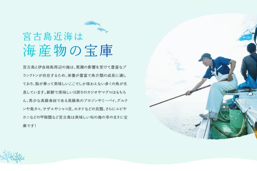 AD109＜浜口水産＞ 鰹ちゅう汁（100ｇ×5袋）｜鰹 カツオ 宮古味噌 出汁 沖縄県 宮古島市 伊良部島 人気 おすすめ 味噌 送料無料