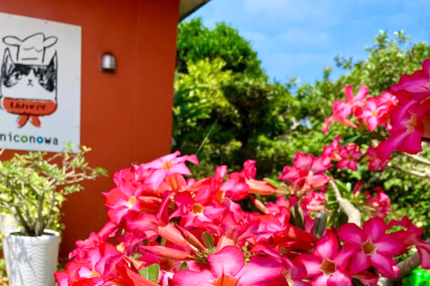 NC001ãæ¯ã¡ããã®ç§äŒã¬ã·ããæ é€äžçªãããŒãããå³åïŒ60ïœÃ2è¢ïŒ