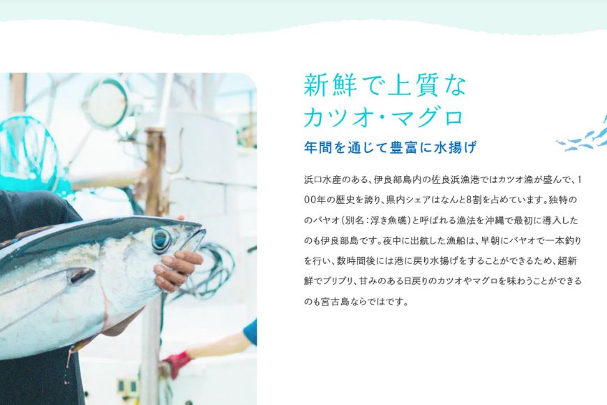 AD109＜浜口水産＞ 鰹ちゅう汁（100ｇ×5袋）｜鰹 カツオ 宮古味噌 出汁 沖縄県 宮古島市 伊良部島 人気 おすすめ 味噌 送料無料