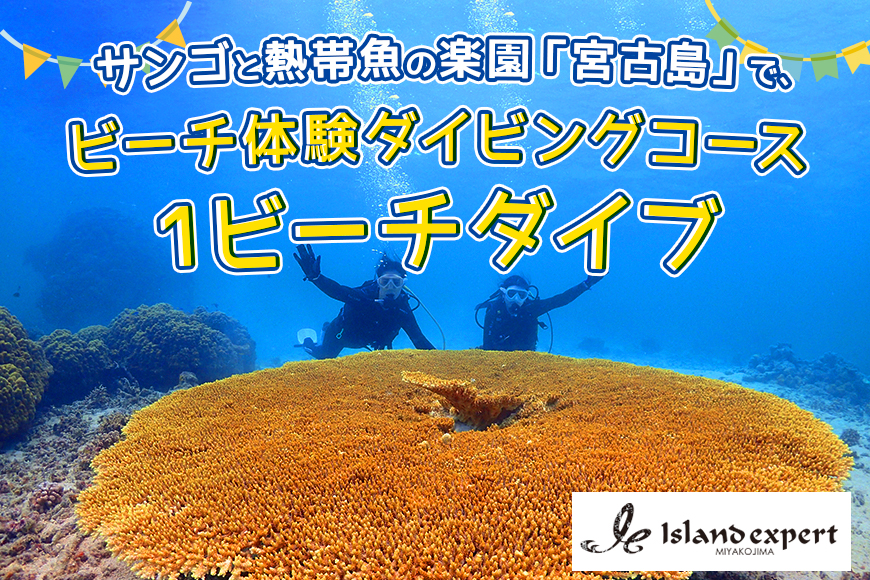 JK003　サンゴと熱帯魚の楽園「宮古島」で、ビーチ体験ダイビングコース（1ビーチダイブ）