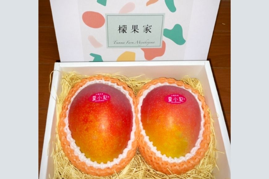 HZ001【檬果家】マンゴー好き必見！沖縄限定　希少品種【夏小紅】１kg２玉　贈答用