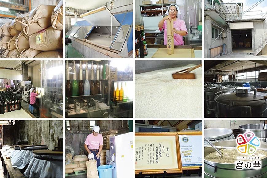 逅臥帥豕。逶帙螳ョ縺ョ闖ッ縲邏吶ヱ繝繧ッ縲1譛ャ