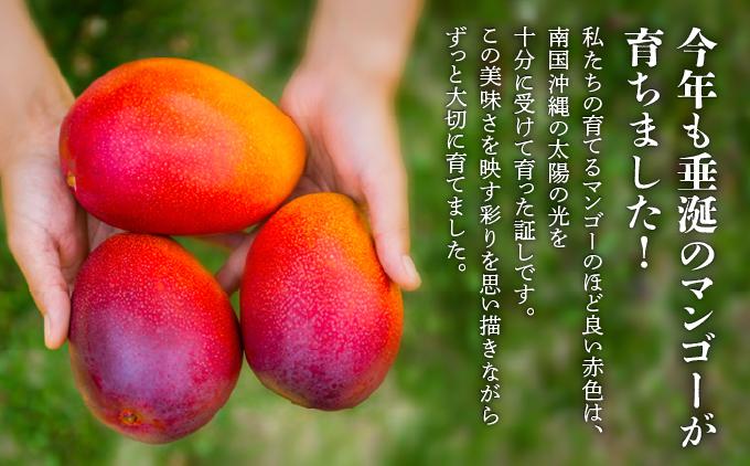 ïŒå
è¡äºçŽã»æ°ééå®ïŒã¢ããã«ãã³ãŽãŒ ç§åïŒ1kgïŒKM001