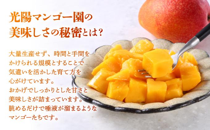 ïŒå
è¡äºçŽã»æ°ééå®ïŒã¢ããã«ãã³ãŽãŒ ç§åïŒ1kgïŒKM001