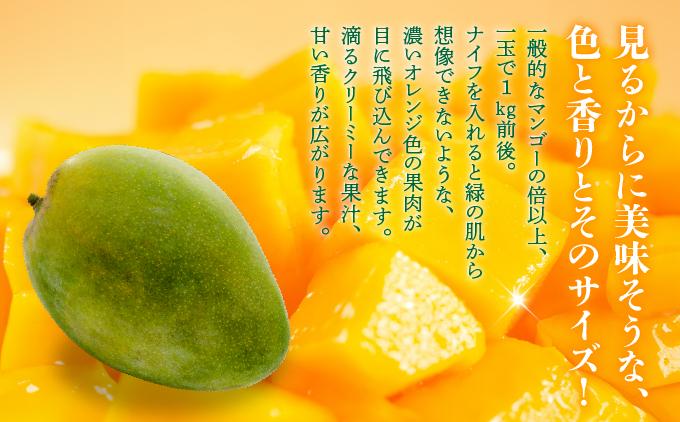 ïŒå
è¡äºçŽã»æ°ééå®ïŒããŒããã³ãŽãŒ ç§åïŒ1kgïŒKM009