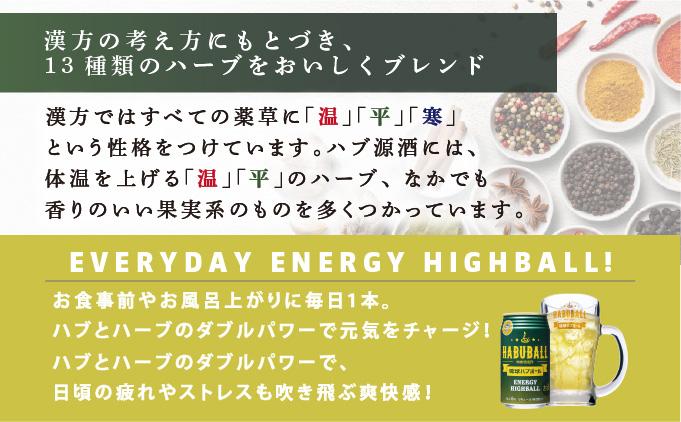 琉球ハブボール＆琉球レモンサワー 12缶アソートギフトセット