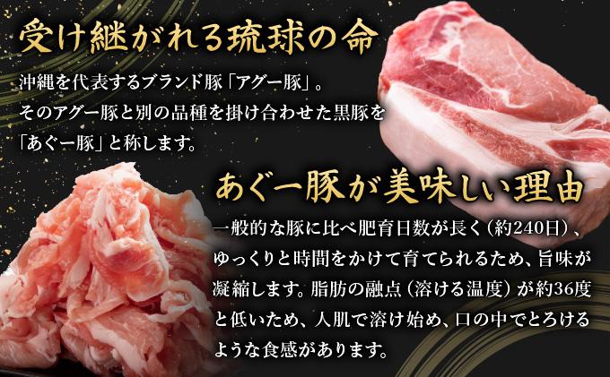 《あぐ～豚の旨みを凝縮》ハンバーグ 120g × 20個（2400g）冷凍【美ら島あぐ～】   I  アグー豚 あぐー豚 あぐ～豚 豚肉 ぶた肉 ブランド豚 沖縄豚  2400g 2.4kg 120g 20個   沖縄県 南城市 ふるさと納税 那覇ミート