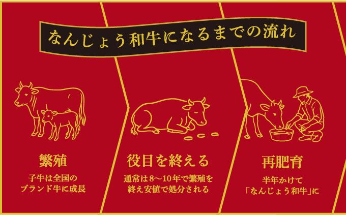 《極上の味わい》和牛しゃぶしゃぶ用 200g×6パック 合計1200g なんじょう和牛|黒毛和牛 しゃぶしゃぶ 牛肉 沖縄県 南城市 送料無料【TM0103】