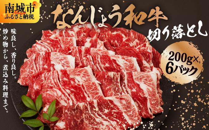 《使い勝手抜群!!》 和牛切り落とし 200g×6パック なんじょう和牛 合計400g |黒毛和牛 和牛 切り落とし モモ ウデ バラ 沖縄県 南城市 牛肉【TM0303】
