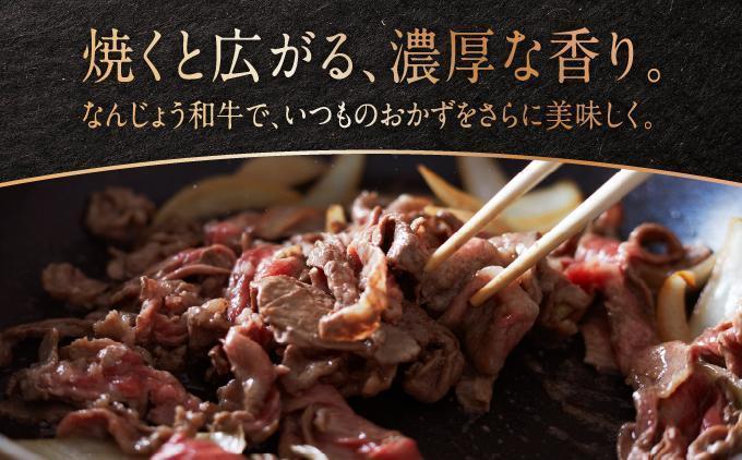 《使い勝手抜群!!》 和牛切り落とし 200g×10パック なんじょう和牛 合計400g   I  和牛 切り落とし なんじょう和牛 ブランド和牛 モモ ウデ バラ 牛肉 2000g 2kg 10パック  沖縄県 南城市