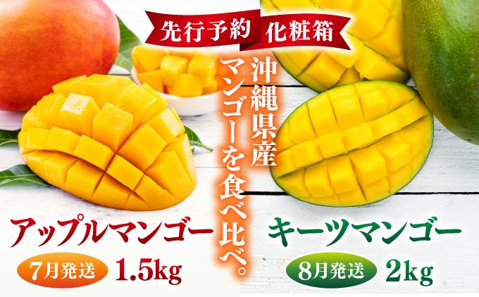 【先行予約】＜7月発送＞アップルマンゴー1,5kg　化粧箱＆＜8月発送＞キーツマンゴー2kg　化粧箱   I  キーツマンゴー きーつまんごー マンゴー まんごー トロピカルフルーツ フルーツ 贈答用 アップルマンゴー あっぷるまんごー 完熟 ギフト  沖縄県 南城市