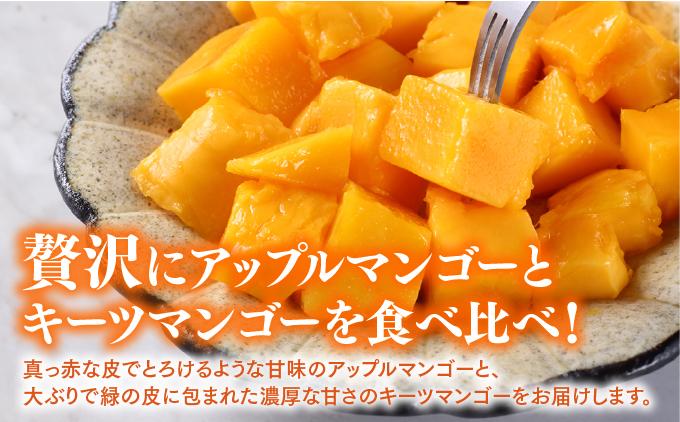 ãå
è¡äºçŽãïŒ8æçºéïŒã¢ããã«ãã³ãŽãŒ1,5kgãåç²§ç®±ïŒïŒ9æçºéïŒããŒããã³ãŽãŒ2kgãåç²§ç®± I ããŒããã³ãŽãŒ ããŒã€ãŸãã㌠ãã³ãŽãŒ ãŸãã㌠ãããã«ã«ãã«ãŒã ãã«ãŒã èŽççš ã¢ããã«ãã³ãŽãŒ ãã£ã·ããŸãã㌠å®ç ã®ãã æ²çžç åååž