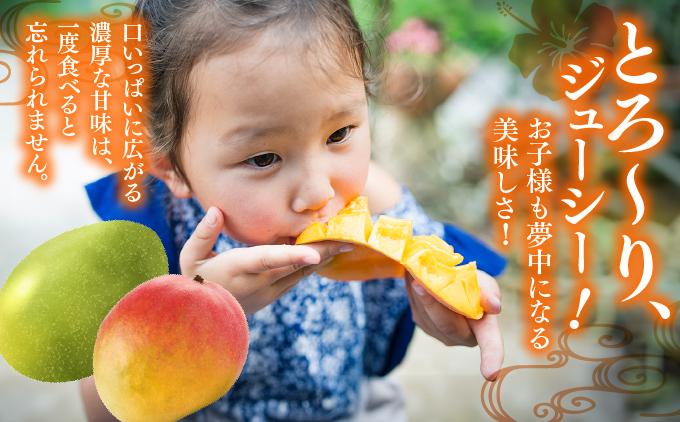 ãå
è¡äºçŽãïŒ8æçºéïŒã¢ããã«ãã³ãŽãŒ1,5kgãåç²§ç®±ïŒïŒ9æçºéïŒããŒããã³ãŽãŒ2kgãåç²§ç®± I ããŒããã³ãŽãŒ ããŒã€ãŸãã㌠ãã³ãŽãŒ ãŸãã㌠ãããã«ã«ãã«ãŒã ãã«ãŒã èŽççš ã¢ããã«ãã³ãŽãŒ ãã£ã·ããŸãã㌠å®ç ã®ãã æ²çžç åååž