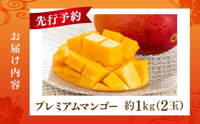 ãå
è¡äºçŽãç³åºŠ15床以äžïŒæé«çŽãã¬ãã¢ã ãã³ãŽãŒçŽ1kgïŒ2çïŒ I ãã³ãŽãŒ ãŸãã㌠ãããã«ã«ãã«ãŒã ãã«ãŒã ã®ãã æé«çŽ ãã¬ãã¢ã 1000g 1kg æ²çžç åååž