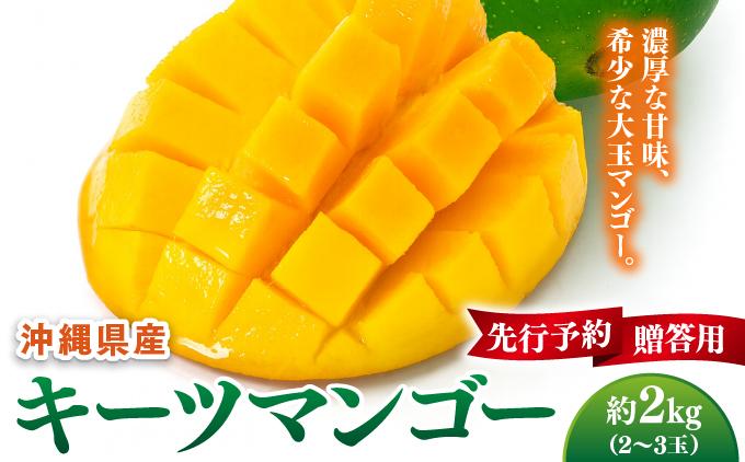 【先行予約】マンゴー好き必見！キーツマンゴー　約2kg  化粧箱