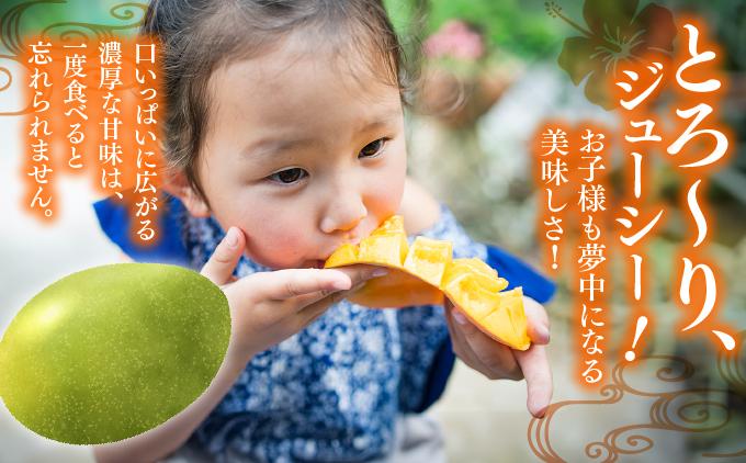 【先行予約】贈答用キーツマンゴー　約800g  化粧箱   I  キーツマンゴー きーつまんごー マンゴー まんごー トロピカルフルーツ フルーツ 贈答用 800g  沖縄県 南城市