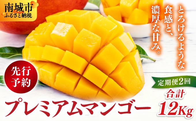 【先行予約】アップルマンゴー12kg　2回に分けて発送