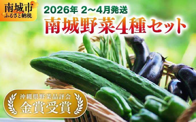 【先行予約】若手農家が作る南城野菜セット