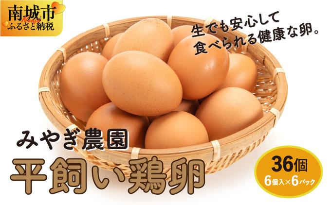 平飼い鶏卵　6個入り×6パック（36個）