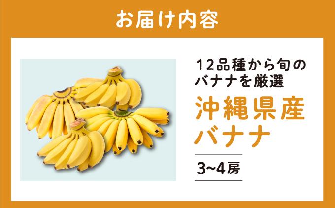 高原の駅なんじょうバナナ3～4房（12品種から旬のものを詰合せ）