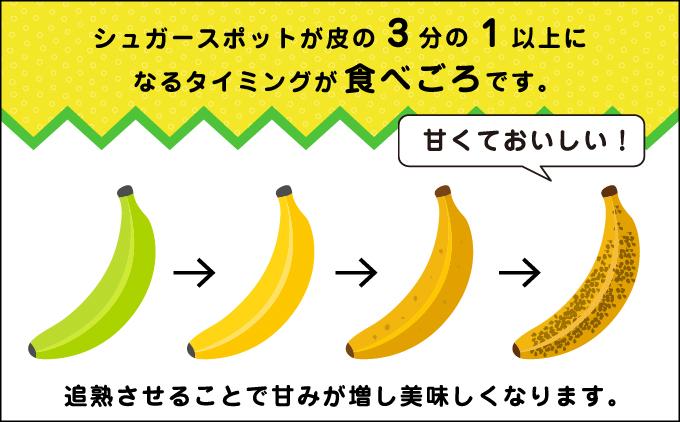 高原の駅なんじょうバナナ3～4房（12品種から旬のものを詰合せ）