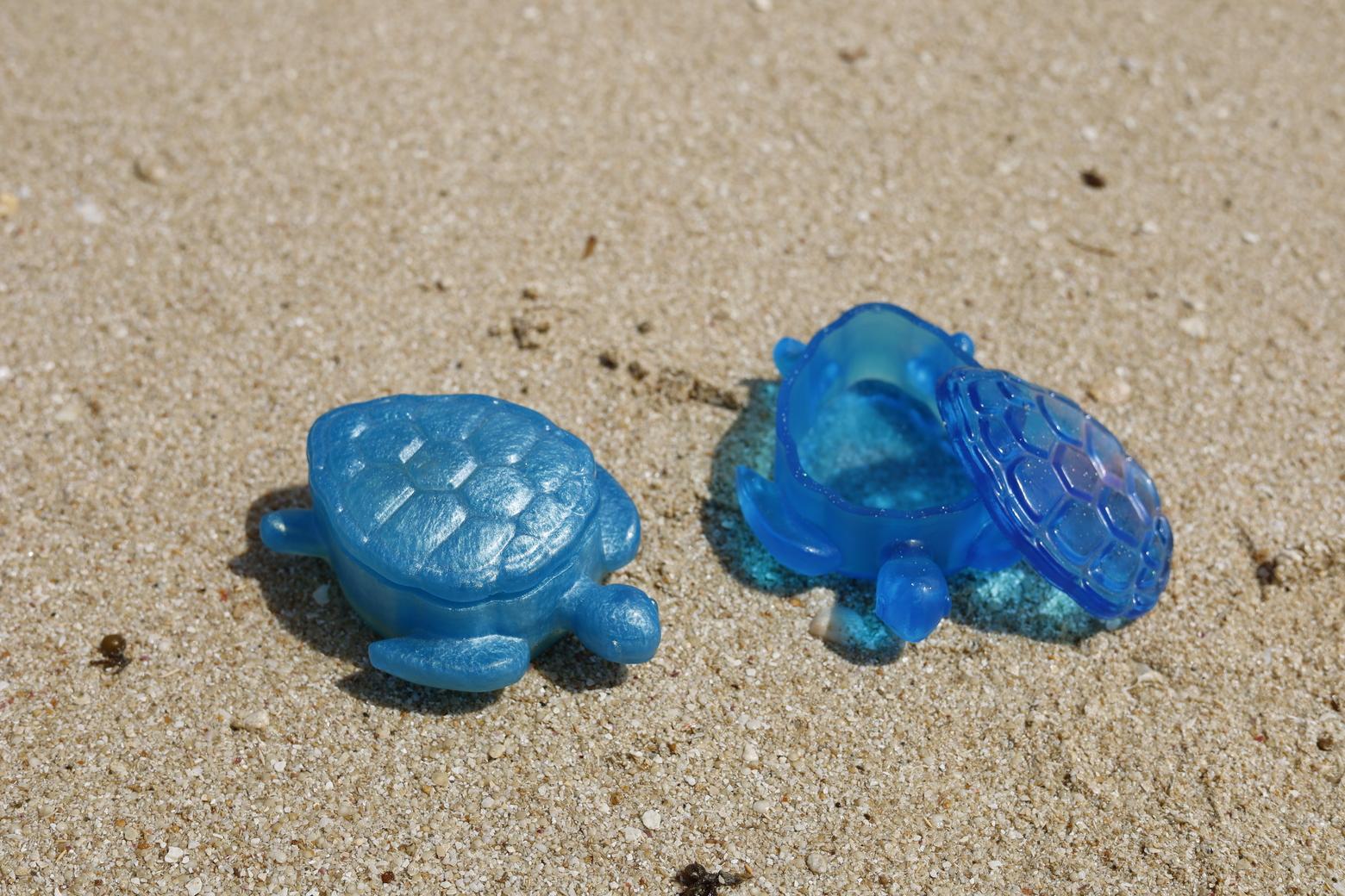 カメボックス[DP21]