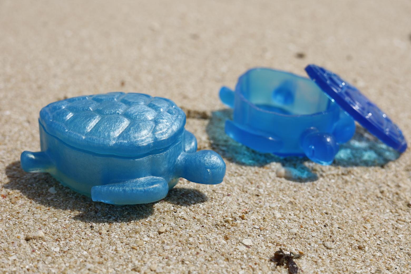 カメボックス[DP21]