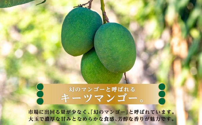 繧ュ繝シ繝繝槭Φ繧エ繝シ1kg 雍育ュ皮畑