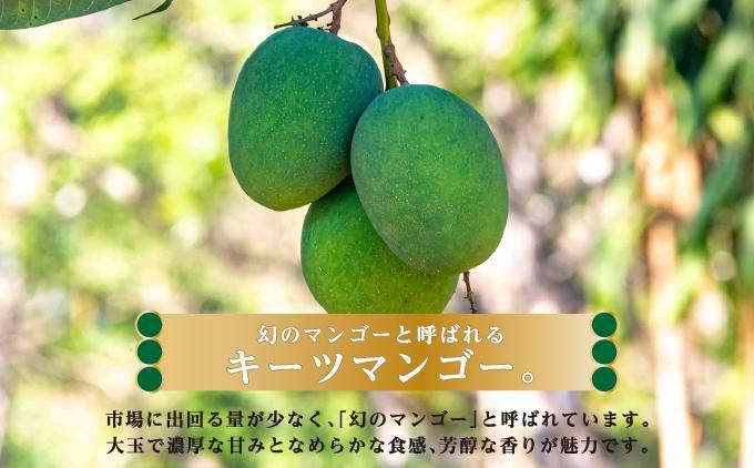 キーツマンゴー2kg  贈答用