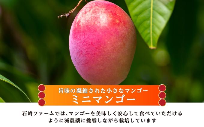 ãããã³ãŽãŒ1kg èŽççš I ãã ãã³ãŽãŒ 1kg èŽç çš ãã«ãŒã æç© ã®ãã æ²çžç åååž