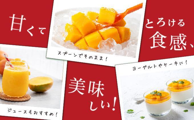 マンゴー1.5kg　贈答用
